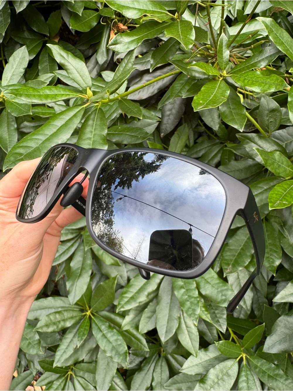 Polarized Maui Jim Sunglasses